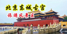 美女被日逼网站高潮中国北京-东城古宫旅游风景区